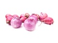 shallots placed on a white background Royalty Free Stock Photo