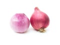 shallots placed on a white background Royalty Free Stock Photo