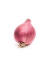 shallots placed on a white background Royalty Free Stock Photo