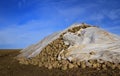 Freshly harvested sugar beets are piled up in a long line in the bare field, covered with clouds against a blue sky, covered with Royalty Free Stock Photo