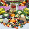 Freshly harvested summer vegetables. Large autumn harvest outdoor. Royalty Free Stock Photo