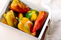 Freshly harvested sweet peppers Royalty Free Stock Photo