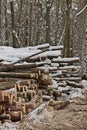 Freshly Harvested Timber from a Logging Operation Piled by the Forest in Winter