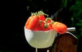 Freshly harvested tomatoes in white pot Royalty Free Stock Photo