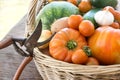 Freshly harvested vegetables