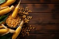 Freshly harvested yellow corn kernels in a bowl with ripe corn ears on wooden farm table Royalty Free Stock Photo