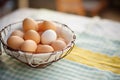 freshly laid eggs in a wire basket Royalty Free Stock Photo