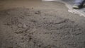 Freshly laid screed in a new apartment. Laid floor, mortar. Royalty Free Stock Photo