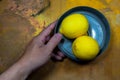 Freshly lemons on rustic boards