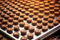 freshly made caramel-filled chocolates cooling on trays Royalty Free Stock Photo