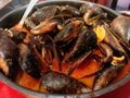 Mussels with spicy sauce in a restaurant in Madrid, Spain. Royalty Free Stock Photo