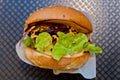 Freshly made cheese spicy hamburger fast food Royalty Free Stock Photo