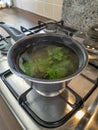Freshly made hot peppermint tea in a pot