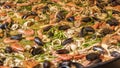 Freshly made paella with seafood Royalty Free Stock Photo