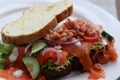 A freshly made Sandwich with Salmon Royalty Free Stock Photo