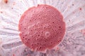 Freshly made strawberries smoothie with chia seeds in blender cup, top view Royalty Free Stock Photo