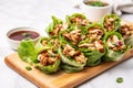 freshly made turkey lettuce wraps on a marble countertop Royalty Free Stock Photo
