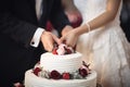 Freshly married bride and groom couple cutting wedding cake Royalty Free Stock Photo