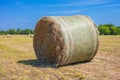 Freshly mowed field with round hay bales with blue sky in the ba Royalty Free Stock Photo