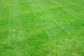 Freshly mowed grass in a diagonal pattern on an American Home La