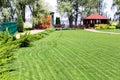 Freshly mowed rows of green lawn at country residence with summerhouse. Hedge of fresh cedars. Landscape design and