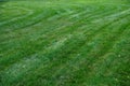 Freshly mown grass Royalty Free Stock Photo