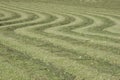 Freshly mown meadow in Tyrol Royalty Free Stock Photo