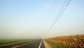 Country Road with Corn and Electric Wires in Fog