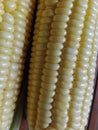 Freshly peeled corn whole peel corn