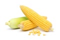 Freshly peeled and unpeeled organic corn