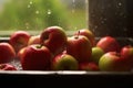 freshly picked apples being washed with water spray