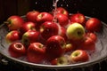 freshly picked apples being washed with water spray