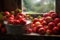 freshly picked apples being washed with water spray