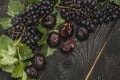 Freshly picked autumn fruits. Black grapes and figs on dark table wooden table Royalty Free Stock Photo