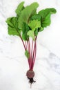 Freshly Picked Beetroot Plant with Rootball