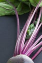Freshly picked beetroot tops on dark background Royalty Free Stock Photo