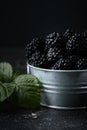 Freshly picked blackberries in a metal bowl with a green leaves on the black moody background