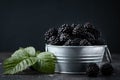 Freshly picked blackberries in a metal bowl with a green leaves on the black moody background