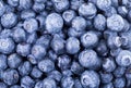Freshly picked blueberries background Royalty Free Stock Photo