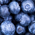 Freshly picked blueberries background Royalty Free Stock Photo