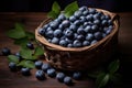 Freshly picked blueberries and blueberry leaves in a basket