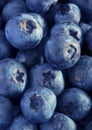 Freshly picked blueberries Royalty Free Stock Photo