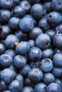 Freshly picked blueberries Royalty Free Stock Photo