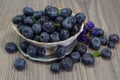 Freshly picked blueberries in a porcelain dish - Juicy and fresh blueberries - Blueberry antioxidant. Royalty Free Stock Photo