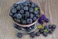 Freshly picked blueberries in a porcelain dish - Juicy and fresh blueberries - Blueberry antioxidant. Royalty Free Stock Photo