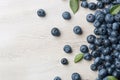 Freshly picked blueberries Royalty Free Stock Photo