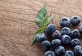 Freshly picked blueberries in wooden background. Juicy and fresh blueberries with green leaves on rustic table.