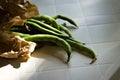 Freshly picked broad beans on a table Pesaro, Italy Royalty Free Stock Photo