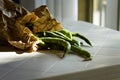 Freshly picked broad beans on a table Pesaro, Italy Royalty Free Stock Photo