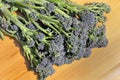 Purple sprouting Broccoli Royalty Free Stock Photo